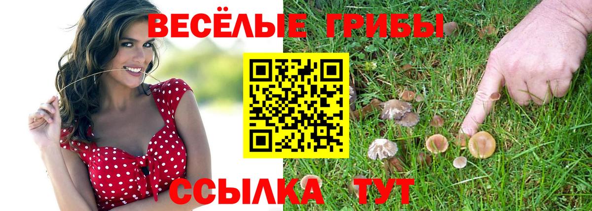 магазин  наркотиков  Вход с VPN  Воронеж  Псилоцибиновые грибы ЛСД 